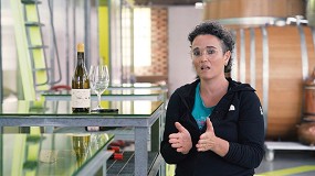 Picture of [es] Vinventions Angel vuelve para fomentar la sostenibilidad del vino hacia nuevos lmites