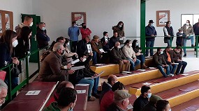 Fotografia de [es] Casi 27.000 euros de remate en la subasta de raza Merina celebrada en Zafra
