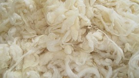 Foto de La devaluacin de la lana agrava la crisis de rentabilidad de las explotaciones ovinas