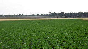 Foto de COAG calcula el sobrecoste de la fertilización nitrogenada en Castilla y León