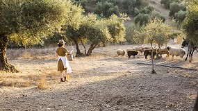 Foto de La falta de pastores pone en riesgo la continuidad del ovino extensivo en Guadalajara