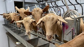 Foto de El censo de ganaderos de caprino lechero desciende un 7,9% en el último año