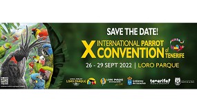Foto de El X Congreso Internacional sobre Papagayos se celebrará próximamente en Tenerife
