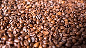 Foto de Açores: estudo do Grupo Nabeiro demonstra potencial do café na região