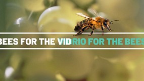 Foto de Una propuesta de Verallia ayudar a evitar la desaparicin de las abejas y a aumentar la produccin de uva