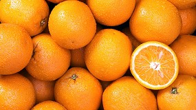 Foto de El tratamiento en frío para las importaciones de naranjas entró en vigor el 24 de junio