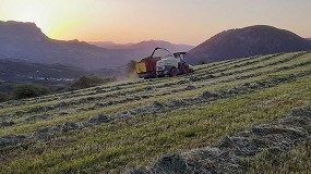 Foto de El intenso calor en Navarra impedirá un segundo corte de hierba para la producción de más forraje