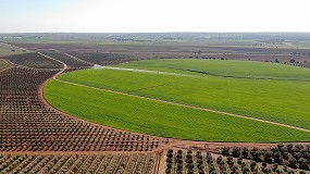 Foto de Investimento no setor agrícola supera os 700 milhões de euros na Península Ibérica