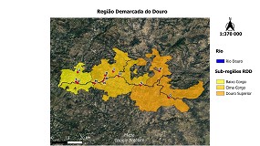 Foto de Modelos de fenologia da videira utilizados como ferramentas de suporte à decisão na Região Demarcada do Douro