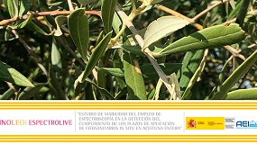 Foto de Proyecto ESPECTROLIVE: uso mínimo y racional de fitosanitarios en el olivar