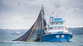 Foto de El sector pesquero salva la crisis del covid-19 pero afronta el futuro con complejidad