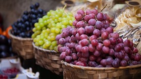 Foto de Aprobada la modificación de dos contratos de compraventa vitivinícola para adaptarlos a la Ley de la cadena alimentaria