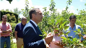 Foto de Açores quer aumentar a área de produção frutícola