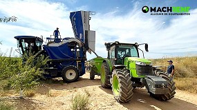 Foto de Amndoa: solues Machrent para a sua colheita