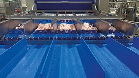 Foto de Las prensas de formado Hoegger, de Provisur, ayudan a Steirerfleisch a incrementar la produccin, la eficiencia y la calidad de su panceta de cerdo