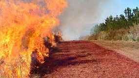 Foto de Real Decreto-ley 15/2022, de 1 de agosto: medidas urgentes en materia de incendios forestales