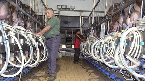 Fotografia de [es] El censo de productores de leche de cabra cay un 10% interanual en verano