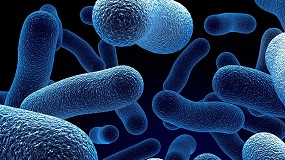 Picture of [es] Atecyr lanza un curso online sobre Legionella