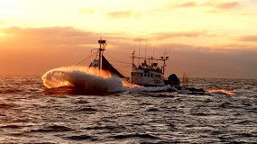 Fotografia de [es] Grupos de Coordinacin Regional: la primera base en la gestin de los datos de las pesqueras