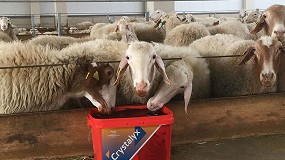 Foto de Crystalyx mejora producción y calidad de leche de ovejas en preparto y arranque de lactación