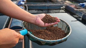 Fotografia de [es] Los subproductos de la cerveza, alternativa nutritiva para peces de acuicultura