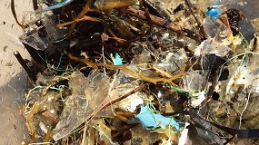 Fotografia de [es] ltimos avances en el conocimiento de las basuras marinas en el golfo de Bizkaia