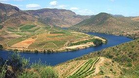 Foto de Valença do Douro debate gestão sustentável do solo em viticultura