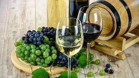 Foto de VitiVino 2022 reúne fileira da vinha e do vinho em Palmela a 23 e 24 de novembro