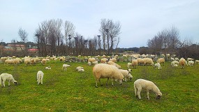 Foto de Denuncian la exclusión de pastos comunales en las ayudas a la ganadería extensiva de Castilla y León