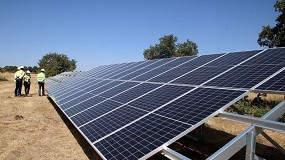 Foto de Abertas candidaturas para aquisição e instalação de painéis fotovoltaicos nas explorações agrícolas