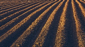 Foto de Afepasa destaca las cualidades del azufre elemental y su interacción con el suelo agrícola