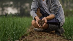 Fotografia de [es] UPA coordina un nuevo proyecto sobre el efecto del manejo del suelo en su biodiversidad
