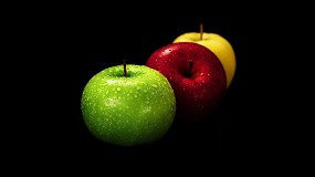 Foto de 5. Simpsio Nacional de Fruticultura volta a Alcobaa: entrega de resumos at dia 10 de janeiro