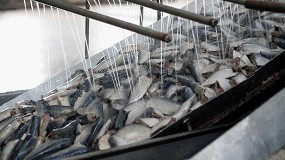 Foto de Instalaciones y equipos para mejorar el rendimiento de la industria del pescado