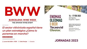 Fotografia de [es] OIVE lleva el plan estratgico del sector vitivincola a BWW y Enomaq