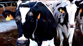 Foto de La UE declara libre de tuberculosis bovina a Baleares, Cataluña y Murcia