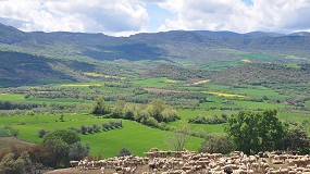 Foto de Ganaderos de ovino y caprino de Cataluña reciben el 90% de las ayudas asociadas de la PAC 20222