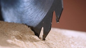 Los interlocutores sociales europeos de la madera y el mueble aprueban la nueva estrategia forestal de la UE