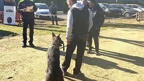 Foto de Acana, apoyo constante a las unidades caninas de policas locales de Espaa