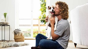 Sobre la salud dental en perros y gatos