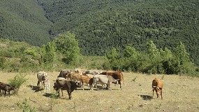 Denuncian la reduccin del Coeficiente de Pastos en las comarcas del Pirineo