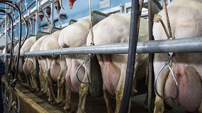 Foto de Assaf obtiene los mejores datos en producción de leche del control lechero de Castilla y León
