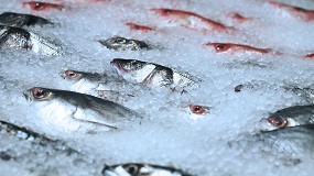 Foto de Las ventas de pescado caen un 20% en lo que va de 2023