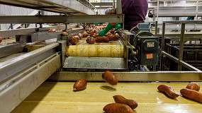 Foto de Bayer desenvolve parceria com a Microsoft que promove inovao e transparncia na indstria agroalimentar