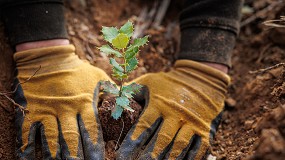 Foto de Navigator avana com restauro ecolgico em mais de 110 hectares em Idanha-a-Nova