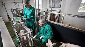 Foto de El consorcio IRTA y UAB es el nuevo centro nacional de referencia en bienestar animal