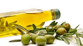Foto de Cooperativas Agro-alimentarias pide inspecciones que garanticen la calidad del aceite de oliva