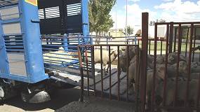 Foto de Actualizada la normativa sobre centros de limpieza y desinfeccin de transporte animal