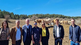 Foto de Aragn ampliar las ayudas para las explotaciones extensivas en zona de montaa