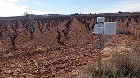 Foto de La DO Utiel-Requena instala 10 estaciones meteorológicas para monitorizar las condiciones climáticas